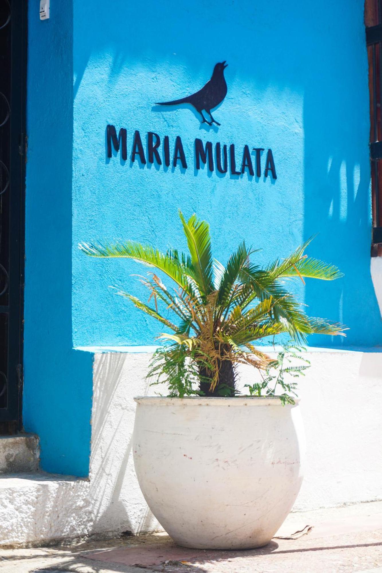 Maria Mulata Boutique